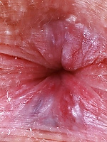 Petite babe strips down and shows her hairy slit and hole