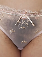 Hairy pussy panties pics